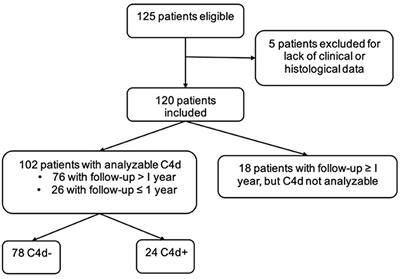 Prognostic Value of C4d Immunolabelling in Adult Patients With IgA Vasculitis